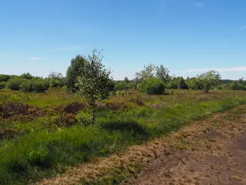 Signal de Botrange (België)